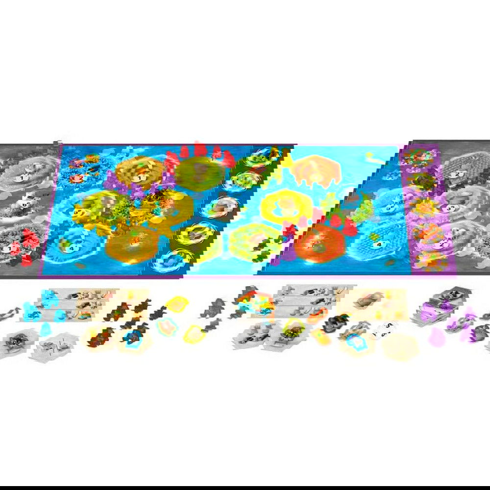 CATAN JUNIOR - IRION Juguetería -  CATAN JUNIOR - IRION Juguetería -